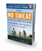 The No Sweat Exercise Plan
