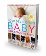 Your Developing Baby