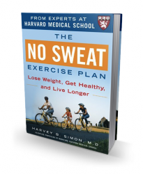 The No Sweat Exercise Plan