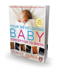 Your Developing Baby